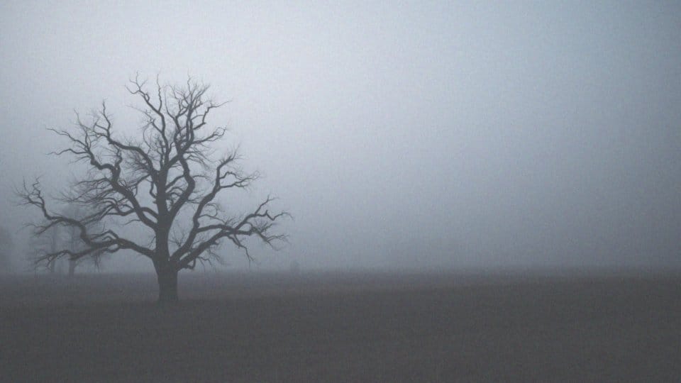 Jaką rolę odgrywają dusze wędrówki po krainie umarłych?