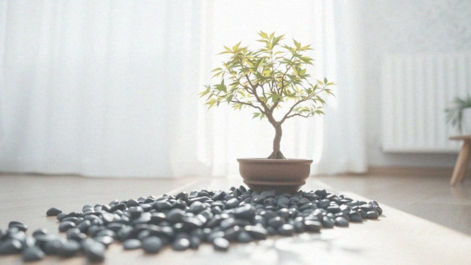 Jak zapewnić odpowiednią wilgotność powietrza dla drzewka bonsai?