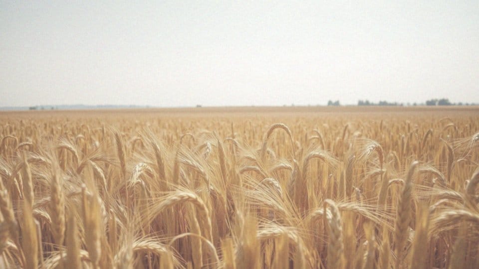 Jakie są konsekwencje zdrowotne związane z udarem słonecznym?
