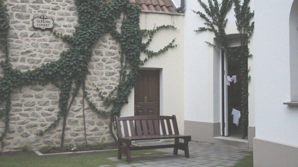 W jaki sposób zakony żeńskie angażują się w pomoc społeczną?