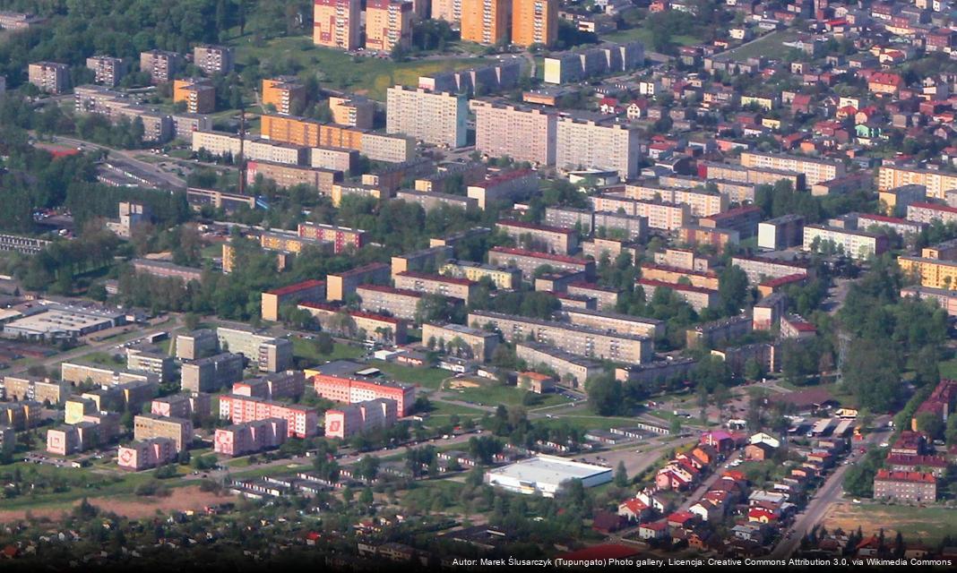 Wypożycz gier planszowych w bibliotece w Piekarach Śląskich