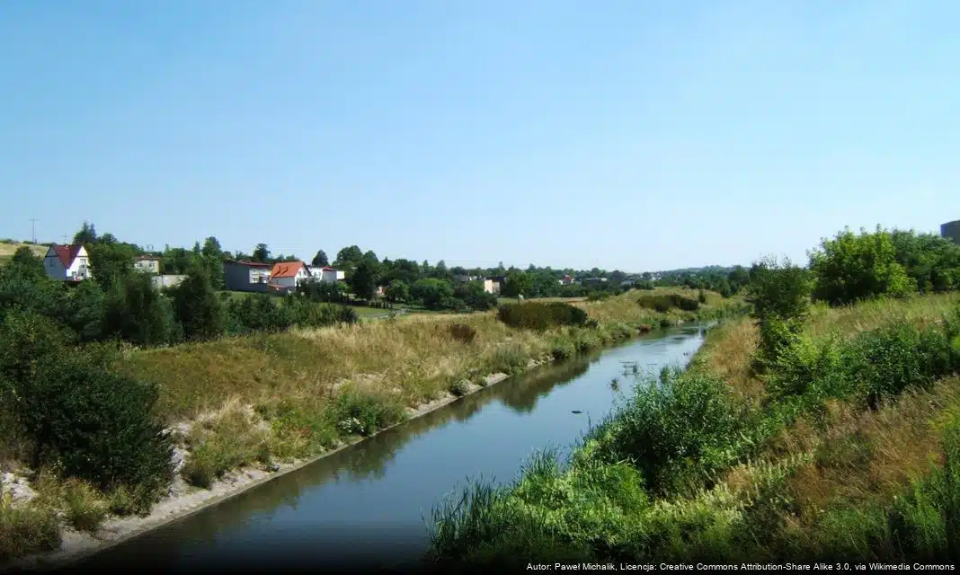 Problem mafii śmieciowej w Piekarach Śląskich nabiera tempa