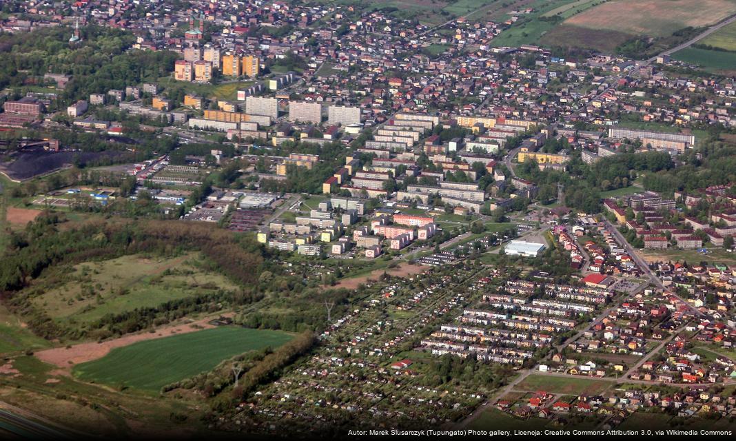 Szczepienia przeciwko meningokokom w Piekarach Śląskich w 2024 roku